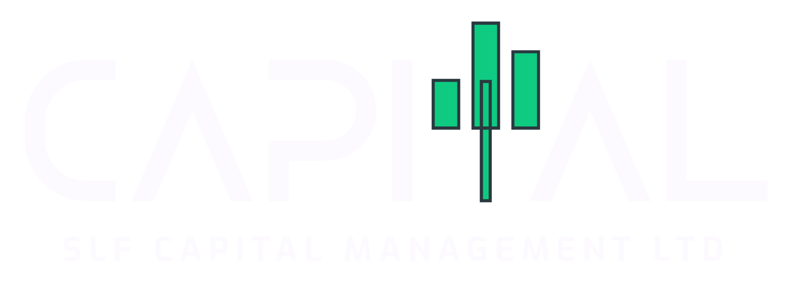SLF CAPITAL MANAGEMENT